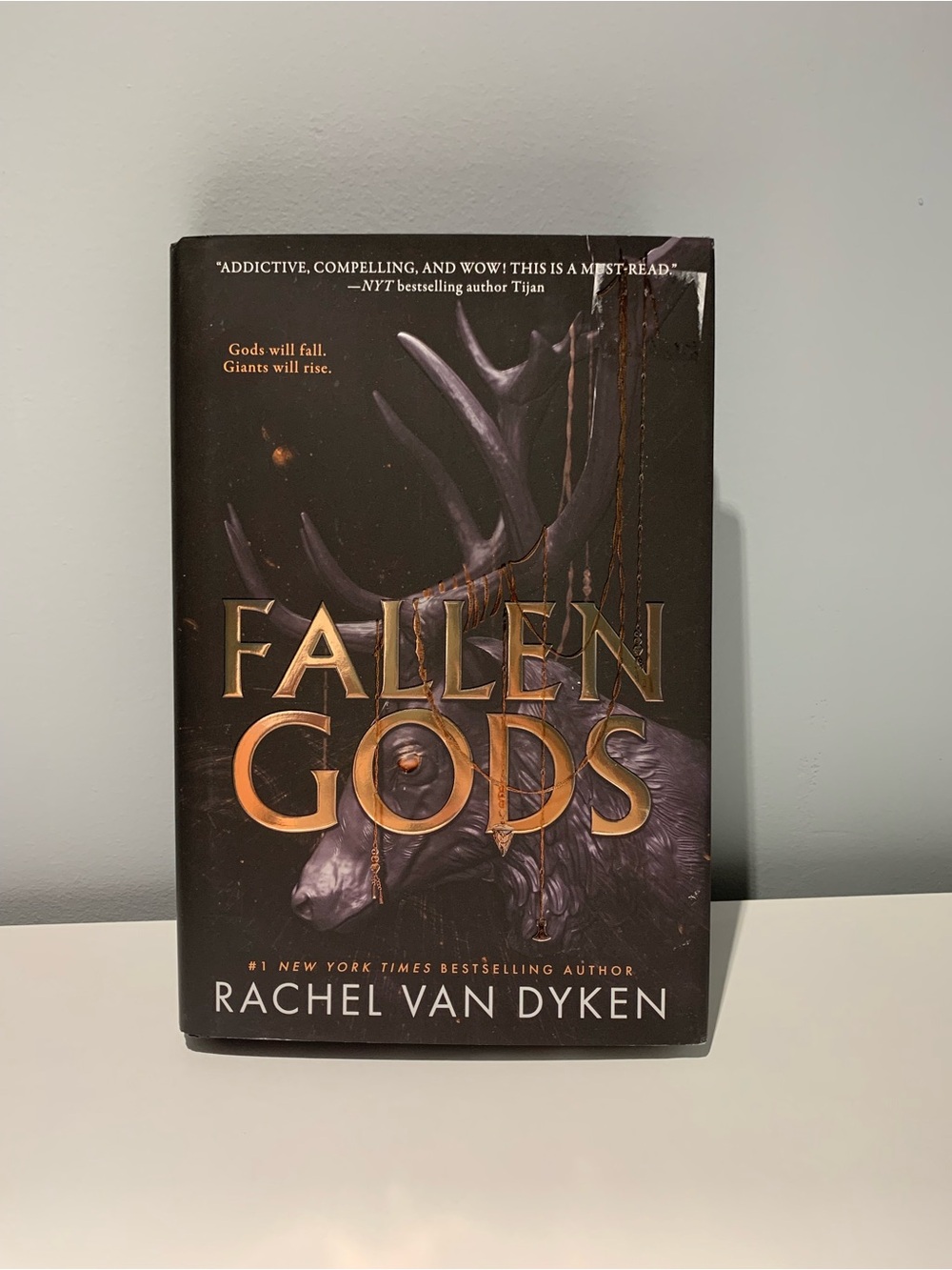 Fallen Gods by Rachel Van Dyken